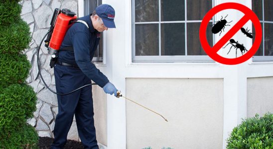 Seydikemer Karınca İlaçlama böcek ilaçlama ve haşere kontrolü — ilaclama-tr.com